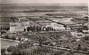 RELIZANE 037
